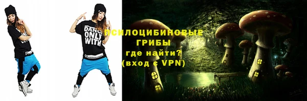 PSILOCYBIN Белая Холуница