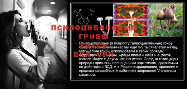 хмурый Навашино