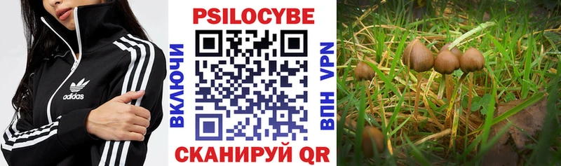 Псилоцибиновые грибы Magic Shrooms  Егорьевск 