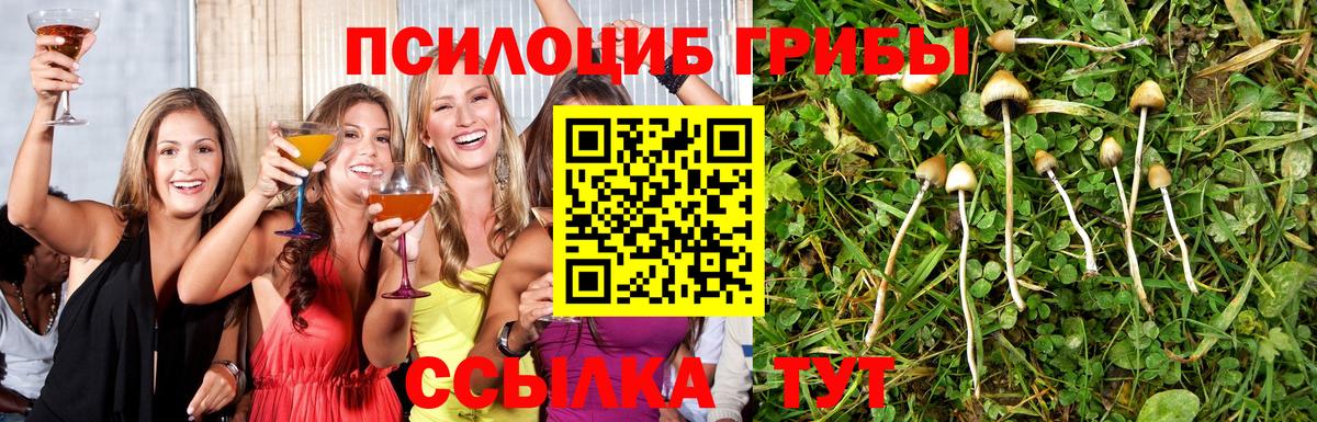 Псилоцибиновые грибы Psilocybine cubensis  Вход с VPN  Псилоцибиновые грибы Magic Shrooms  Егорьевск 