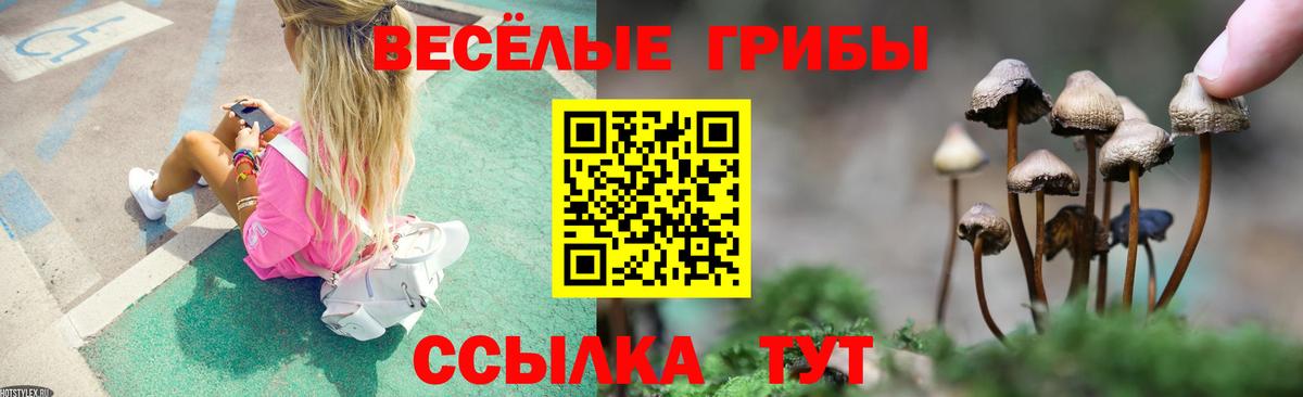 Псилоцибиновые грибы Psilocybine cubensis Егорьевск
