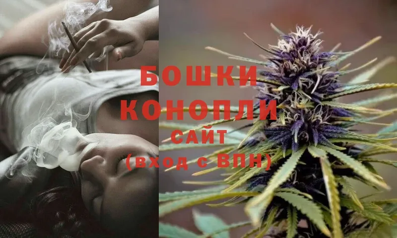 Бошки Шишки THC 21%  Егорьевск 